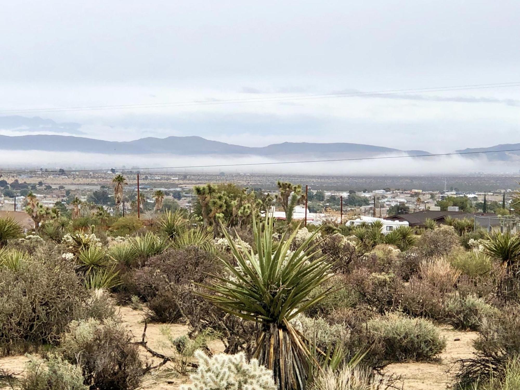 Cozy Desert Retreat With Amazing Views Only 4 Miles To Jtnp Джошуа-Три Экстерьер фото